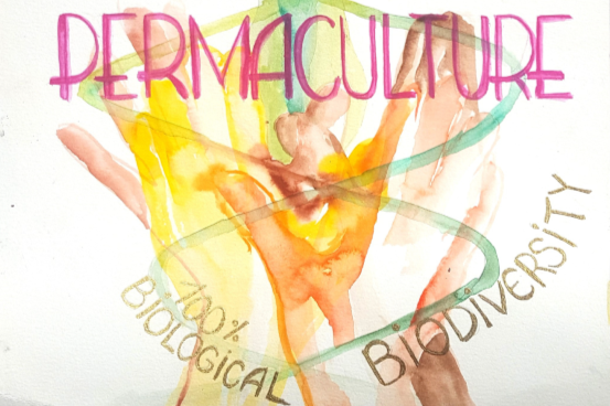 Permaculture Gardenbook
